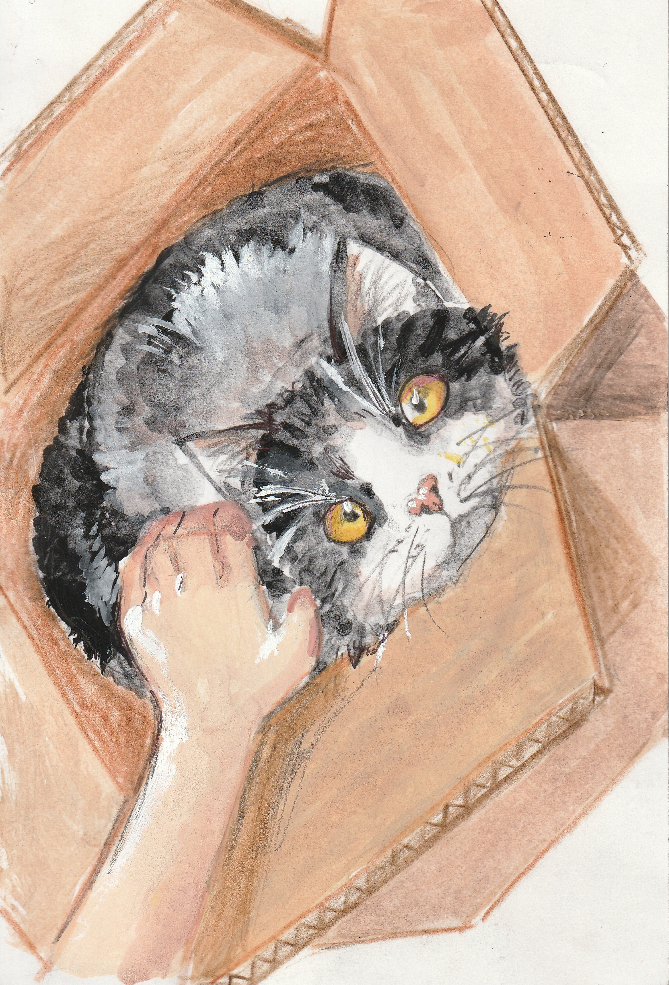 第18回全国こども猫のはがき絵コンクール 美術館大賞 受賞作品