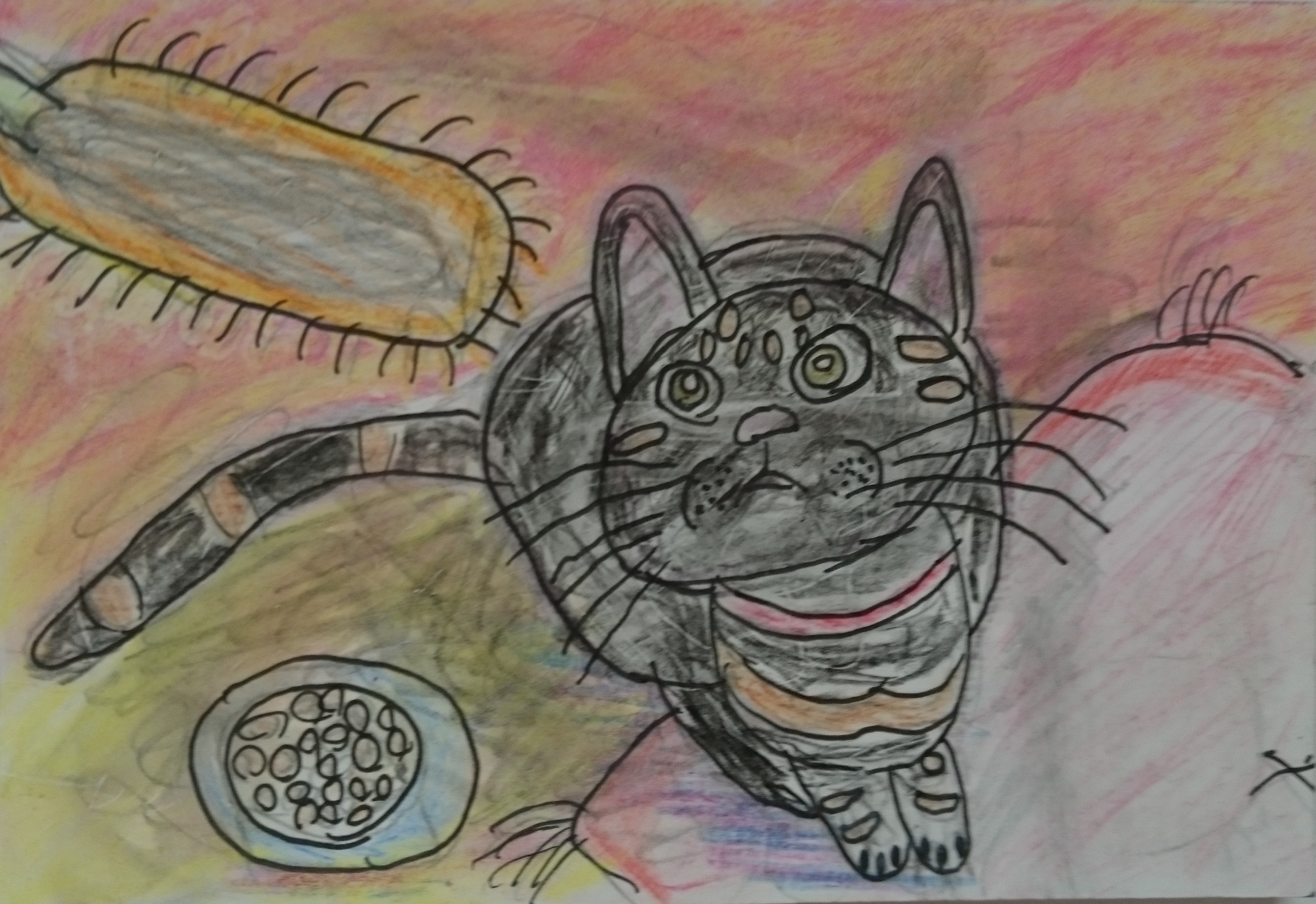 �R�������ʏ�1