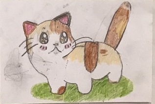 �z�b�R����2