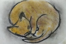 �R�������ʏ�1