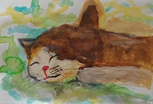 �R�������ʏ�2