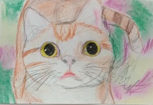 �z�b�R����1