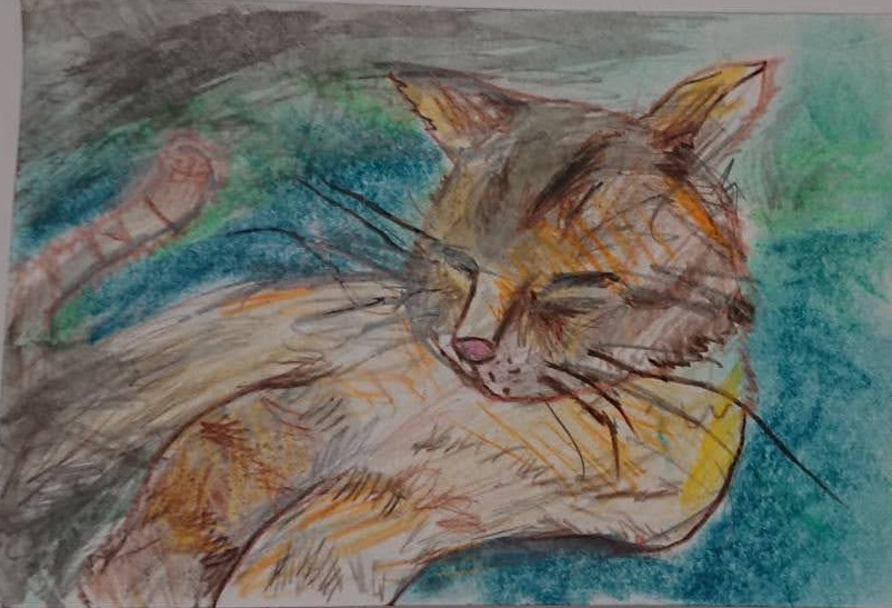 �W�H�s����