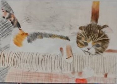 �R�������ʏ�3