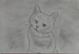 �z�b�R����1