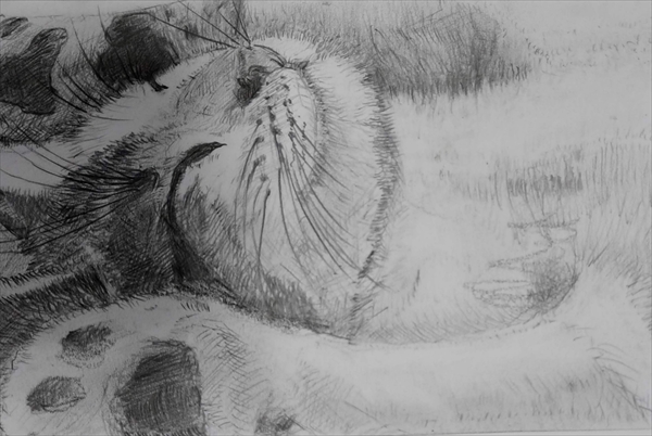 �L���p�ّ��