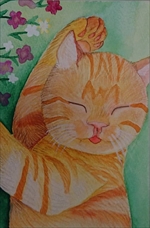 �z�b�R����5