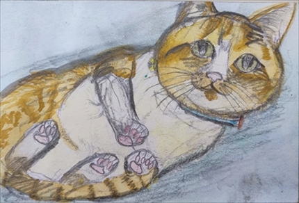 �W�H�s����