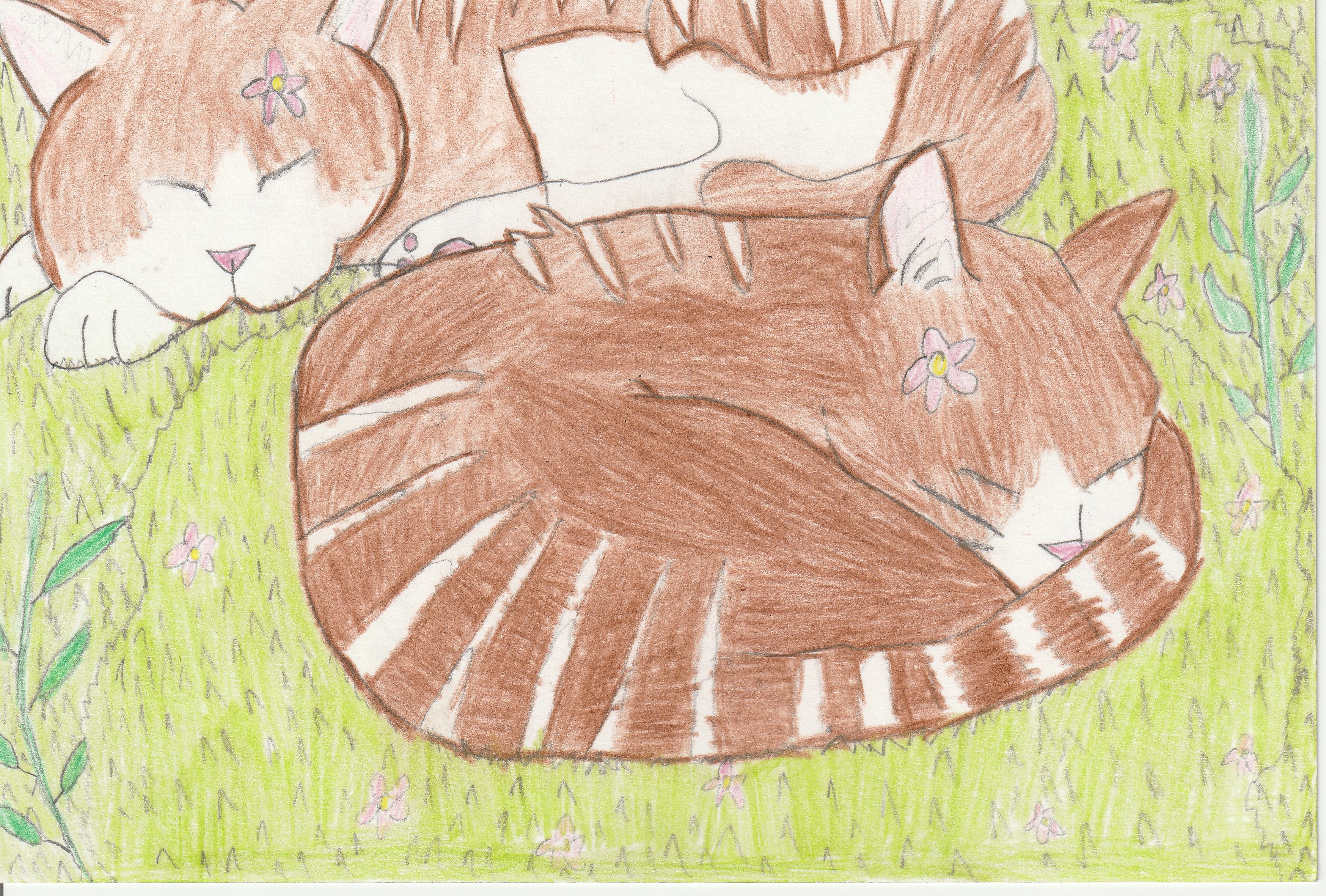 �z�b�R����5