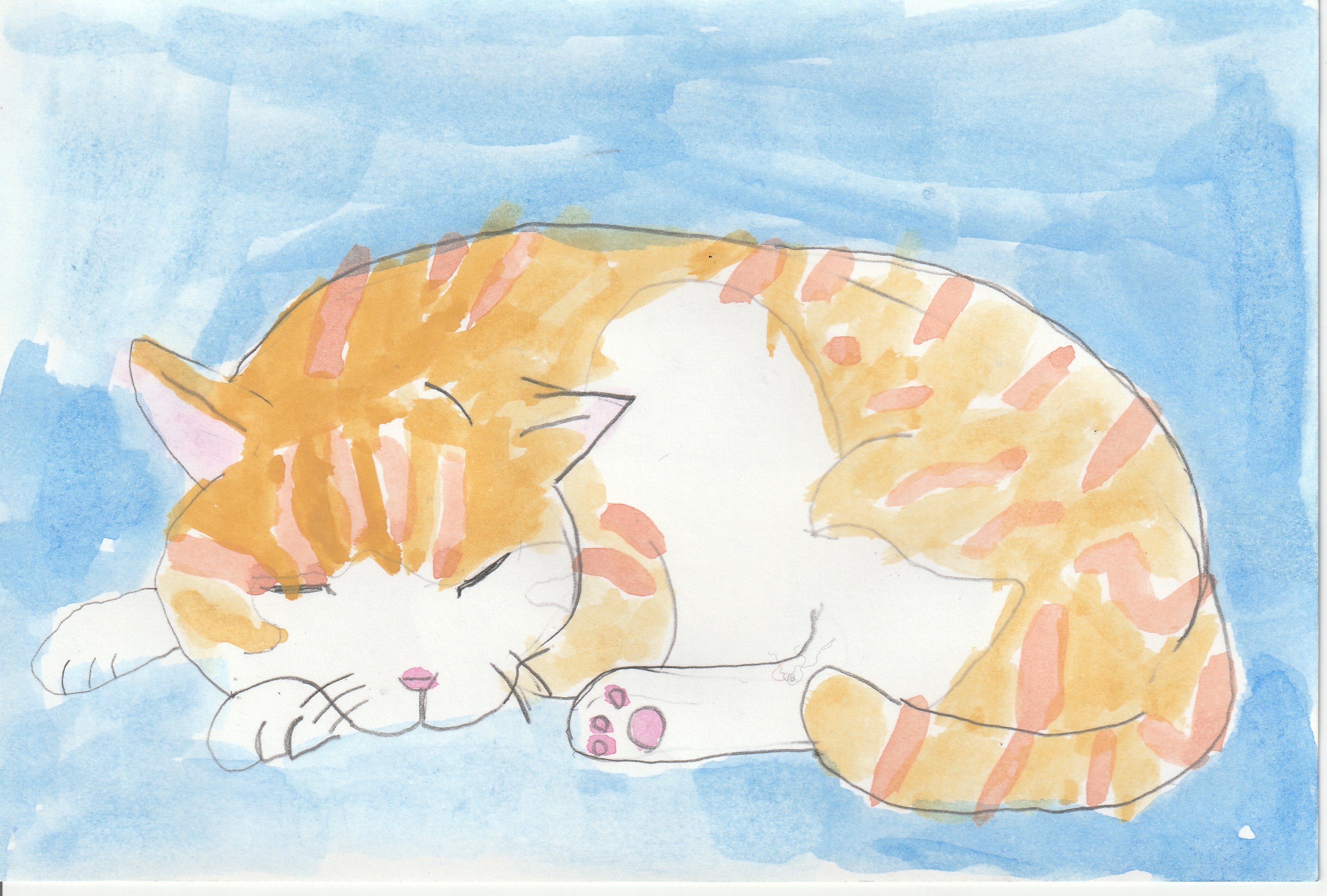 �z�b�R����6