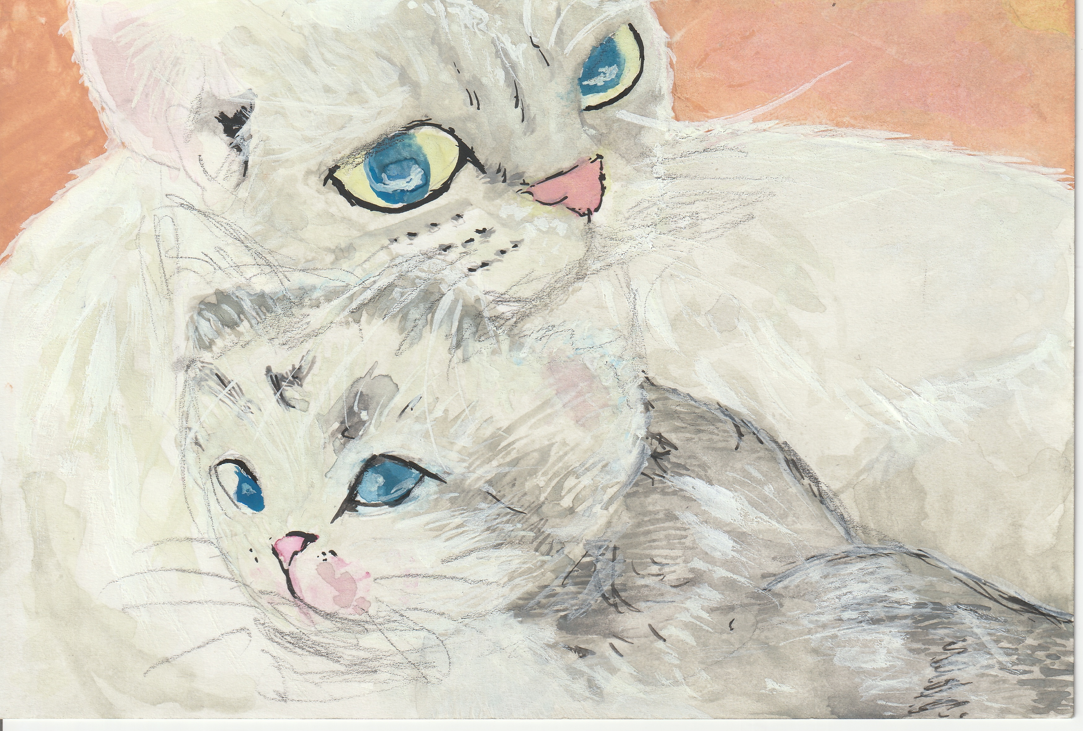 �W�H�s����