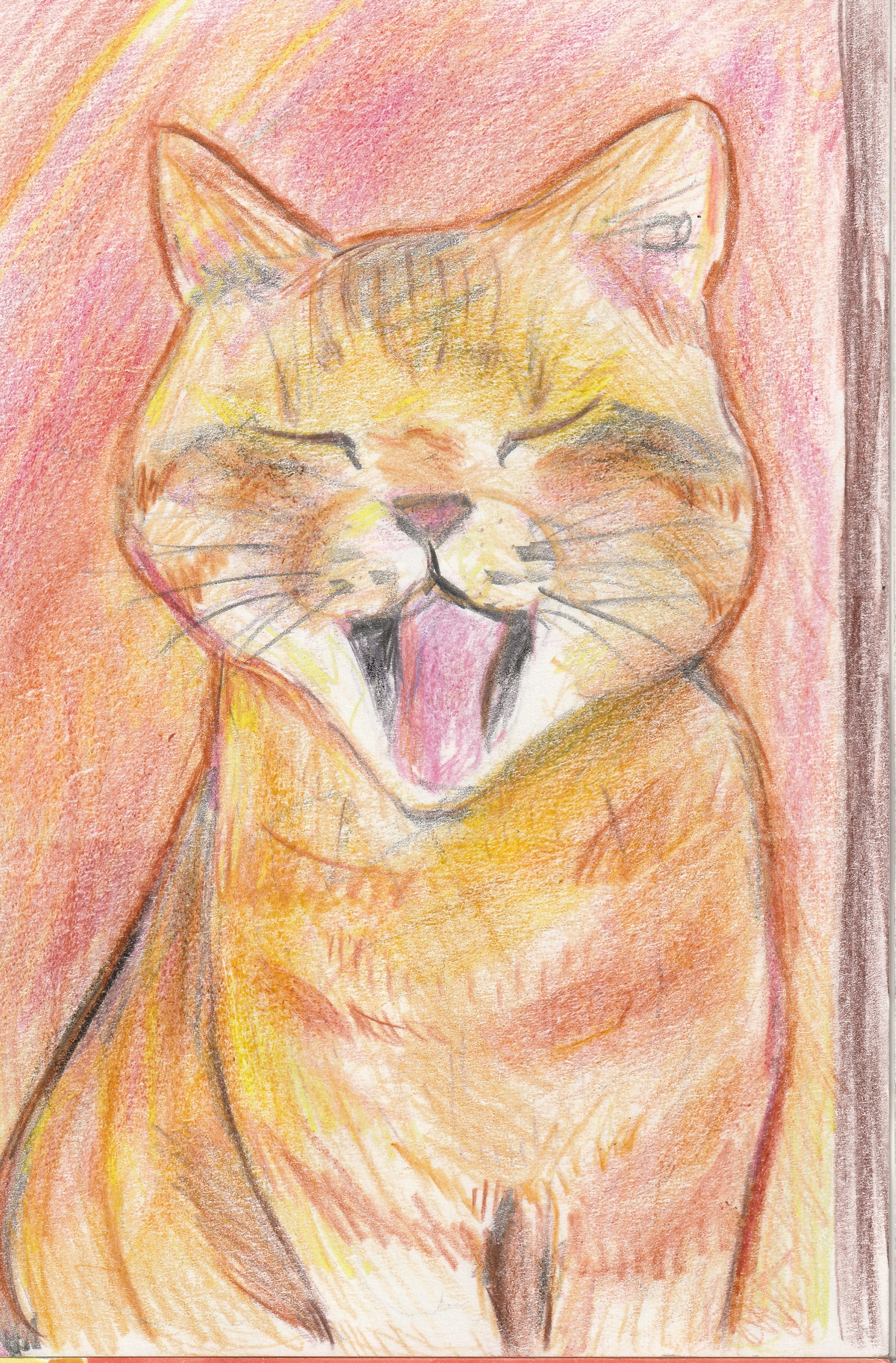 �L���p�ّ��