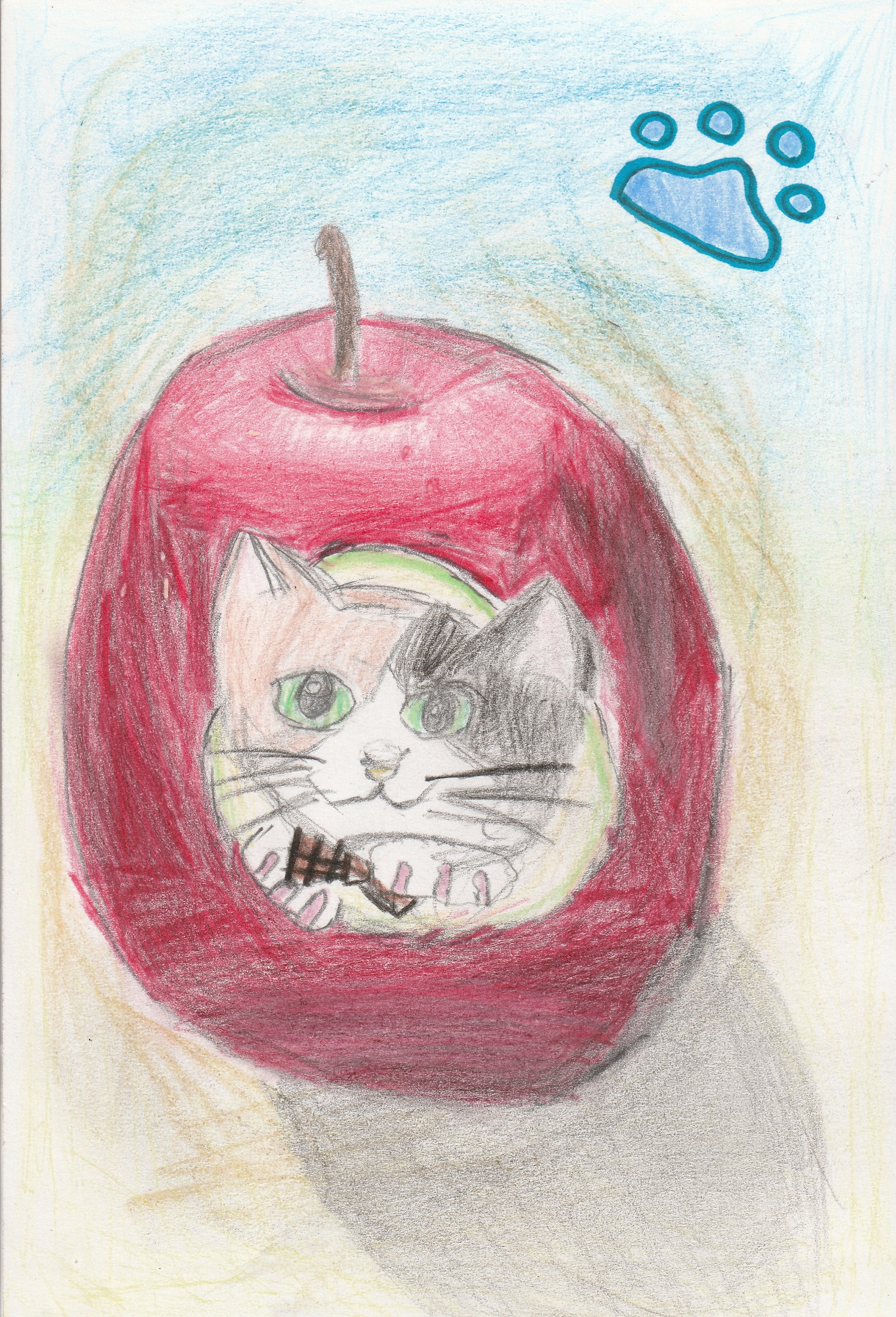 ���l�����