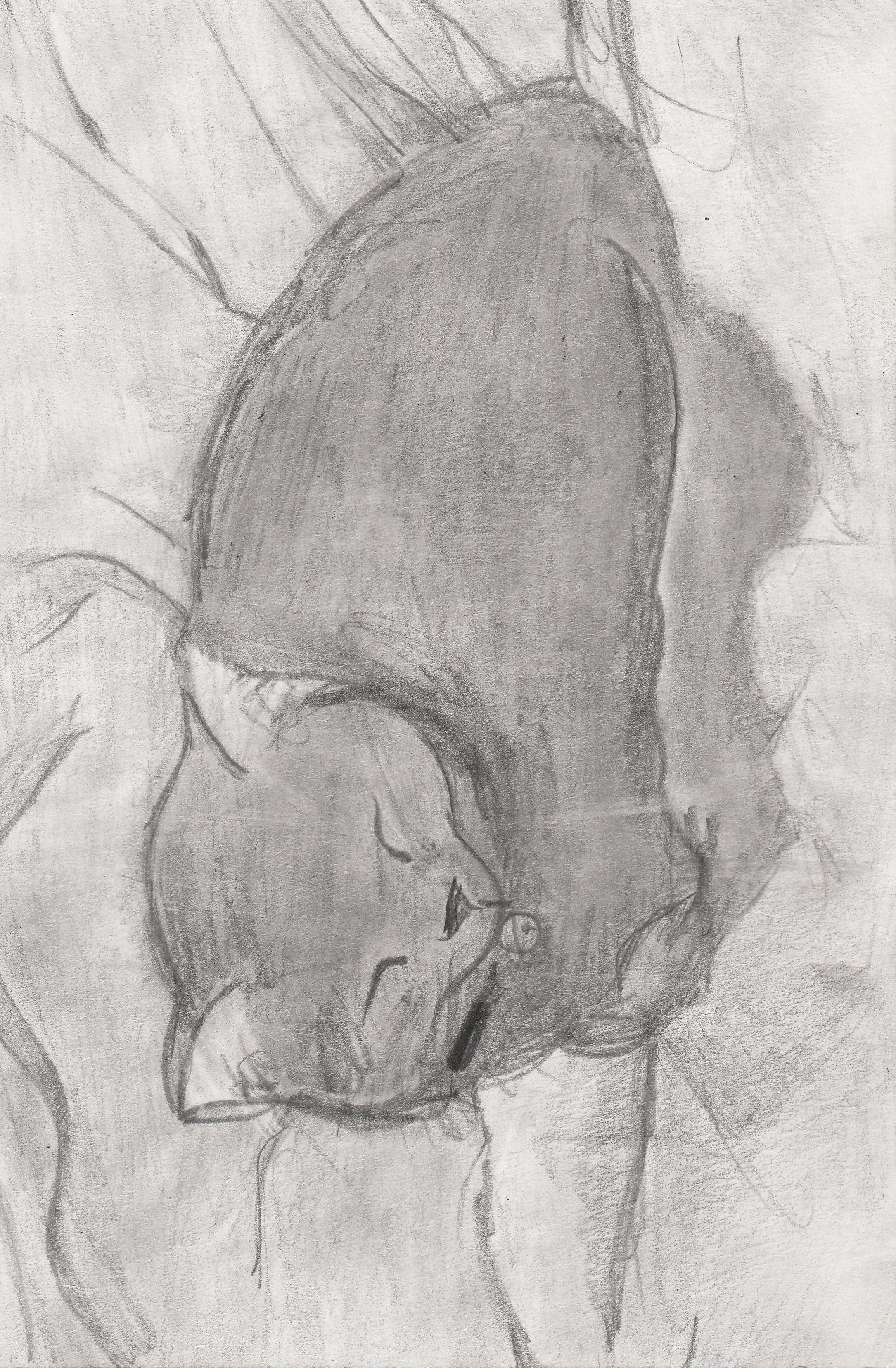 �R�������ʏ�2