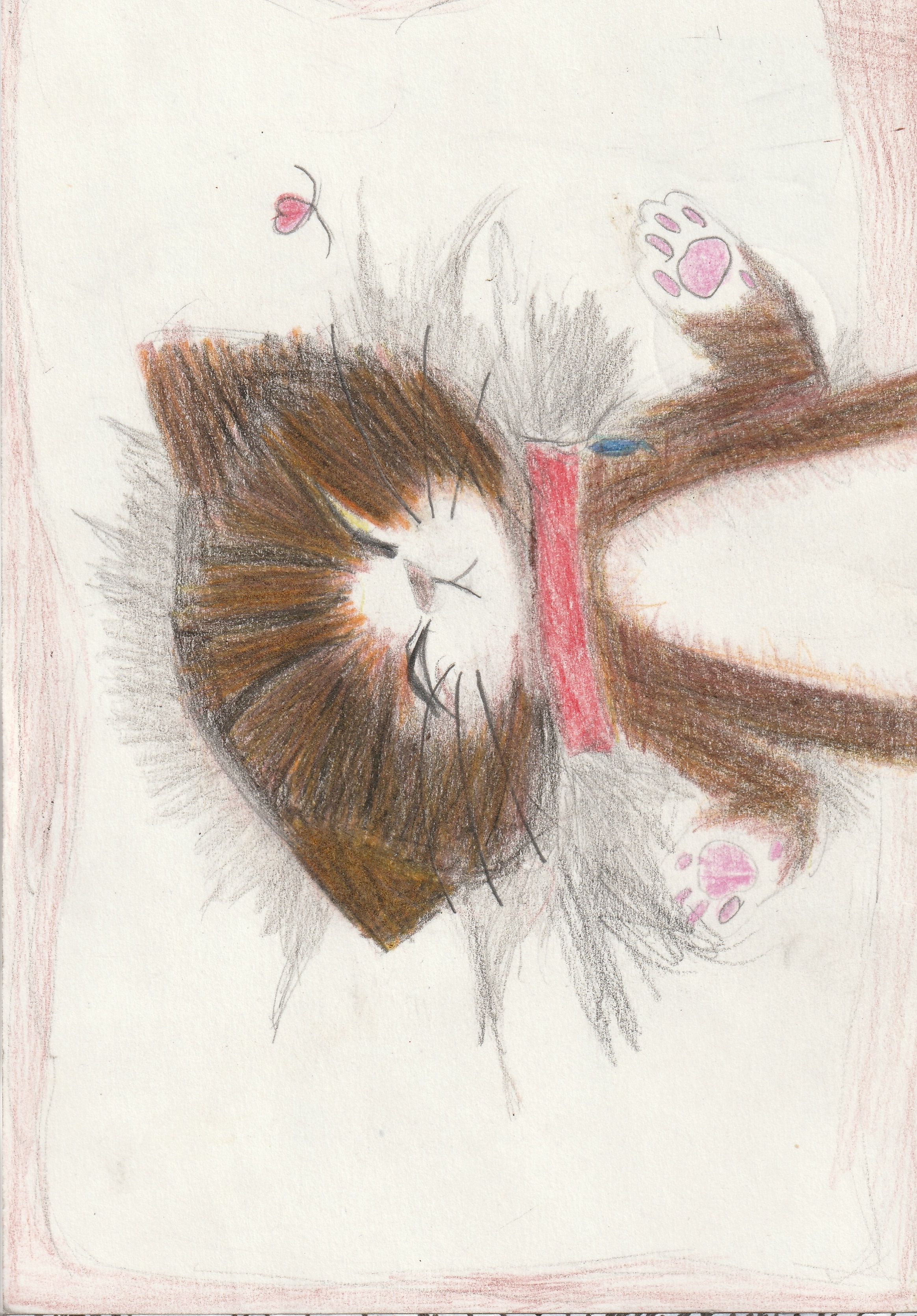 �z�b�R����2