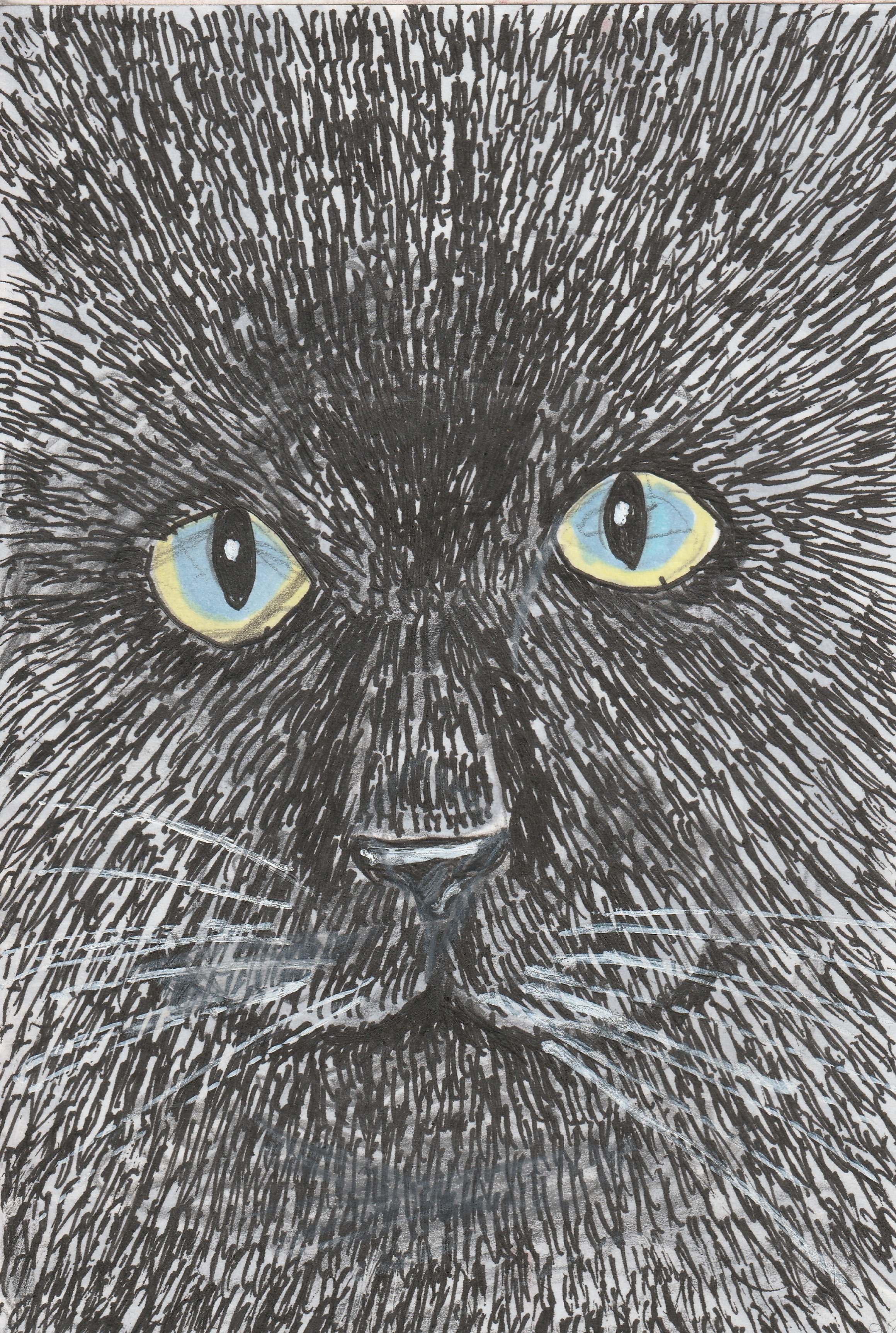 �z�b�R����4