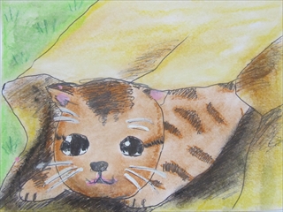 ���l�����