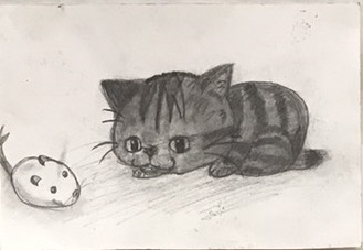 �n�^����