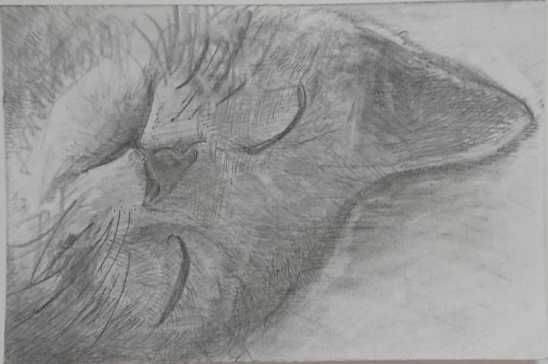 �L���p�ّ��