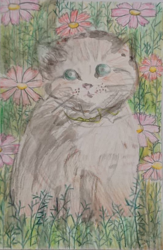 ���l�����