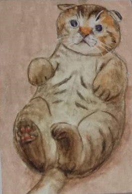 �R�������ʏ�1